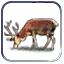 Unit_Resource_Atlas_1_15