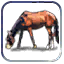 Unit_Resource_Atlas_4_13