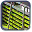 Vertical Farm