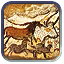 Pastoralism