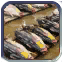 tsukiji